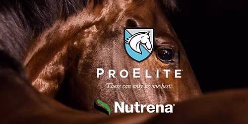 Warm Up Your Winter Feed Plan