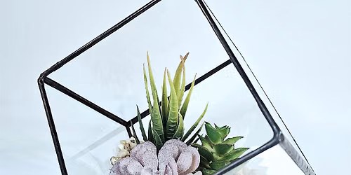 Glass Terrarium