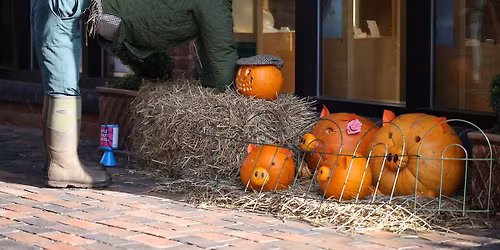 Village Scarecrow Festival 11th Oct-2nd Nov