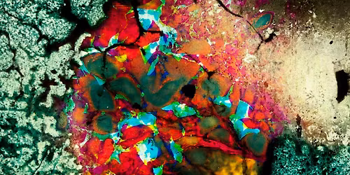 Scann\u00e1n Glas Screening