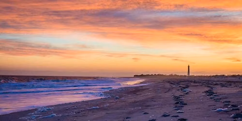 Anglesea Nights - North Wildwood