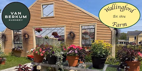 Container Gardening as a Living Landscape | Van Berkum Nursery