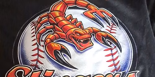 Shasta stinger's tryouts