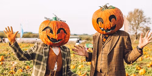 Avon Valley Pumpkin Patch