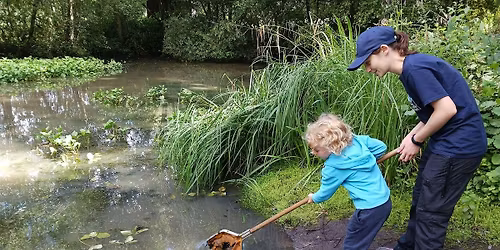 Family Event: Pond Dipping at Sevenoaks Wildlife Reserve
