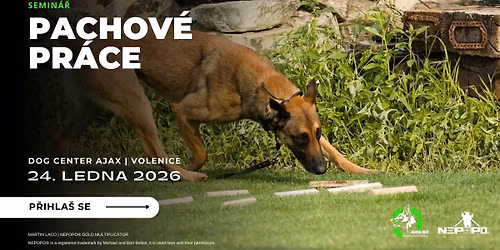 Semin\u00e1\u0159: Pachov\u00e9 pr\u00e1ce