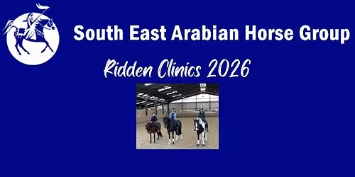 Showing and Flatwork Clinic