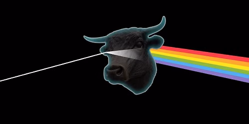 The Dark Side of the Bull