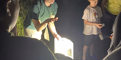 Firefly Night June 27th, 2026 at Troy Meadows Preserve, Parsippany NJ