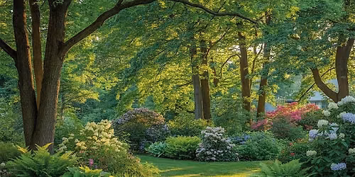 Free Talk: Learn from a Certified Arborist