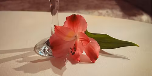 Cocktail Night with Ultimate Bartending School