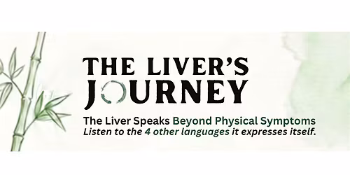 The Liver's Journey
