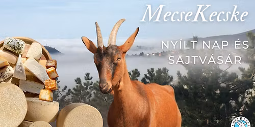 MecseKecske - Ny\u00edlt nap \u00e9s sajtv\u00e1s\u00e1r