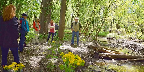 Mindfulness Hike at Spring Creek Preserve