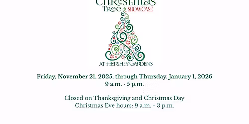 The Christmas Tree Showcase