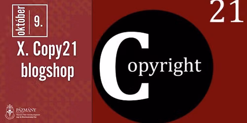X. Copy21 blogshop