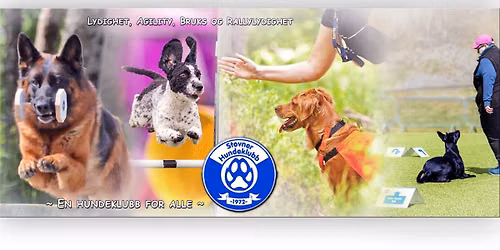 Oslo hundeshow 2026