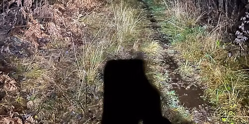 Hodelyktsafari - Jessheim \u00f8st