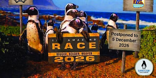 Amazing Race 2026