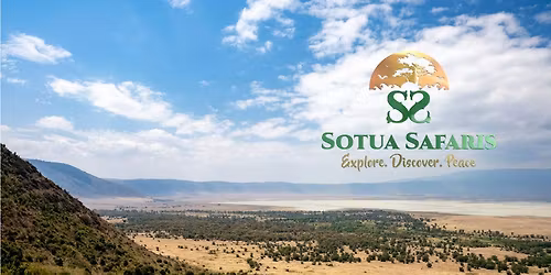 Sotua safaris