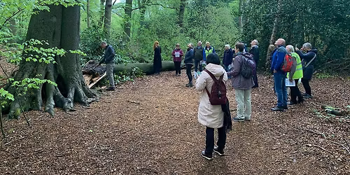 The Veteran Trees, and Champion Tree of Childwall Woods.