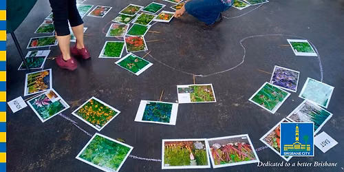 Design a Backyard Food Forest