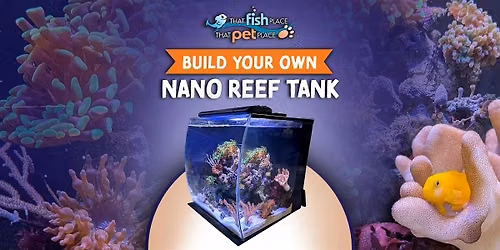Build Your Own Nano Reef Tank!