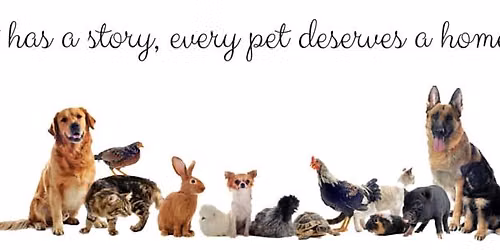Donation Drive to Benefit the Animals at South Bend Animal Resource Center!