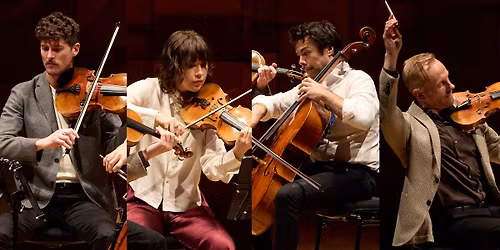 Interwoven | Adelaide