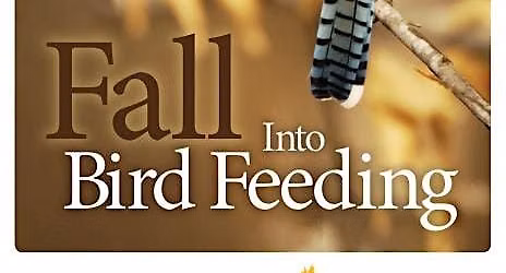 Fall Migration