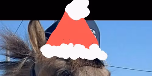 Xmas Pairs and Teams ShowJumping Competition