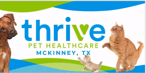 Barks and Bubbles Event!