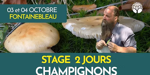 STAGE 2 JOURS - FONTAINEBLEAU - CHAMPIGNONS