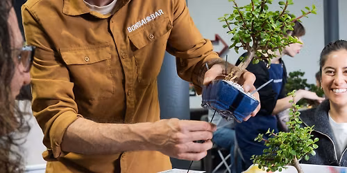 Bonsai Workshop at Austin Beerworks - Sprinkle Valley