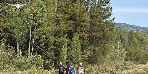 Idaho's Dinosaur Food Dig