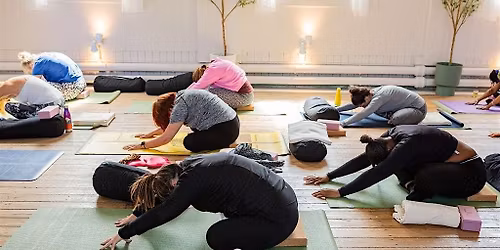 10-Class Yoga Pass Leeds | Deepen Your Practice (Or Gift a 12-Week Reset)
