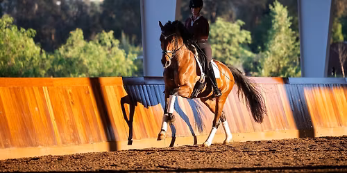 Abigail Lyle Dressage Clinic