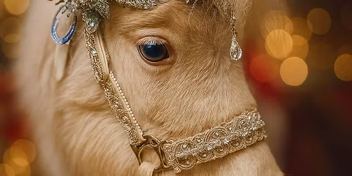 Magic mail with our Christmas unicorn