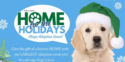 Home for the Holidays- Woodbridge, NJ