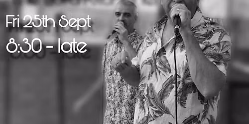 Live Music - The Vinyls