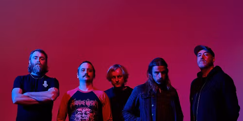 Pigs Pigs Pigs Pigs Pigs Pigs Pigs | VERA Groningen