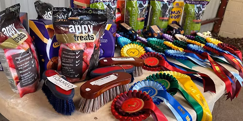 Chipstead RC Dressage Champs at Diamond RC