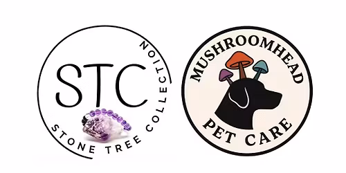 Redcliffe This SUN 8th STC and MPC Healing Energy for YOU and YOUR DOG