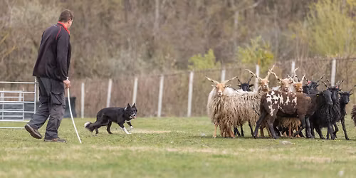 Double Farm Trial 2025.11.30