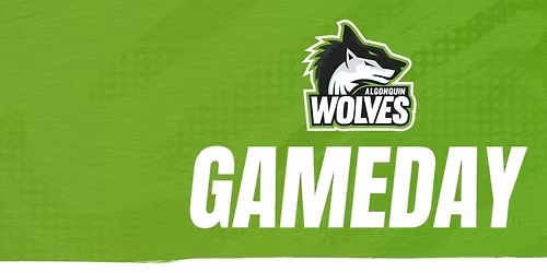 St. Lawrence Surge at Algonquin Wolves Womens Volleyball