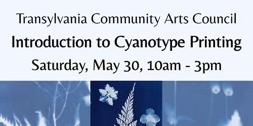 Introduction to Cyanotype Printing with Rebekah Alviani