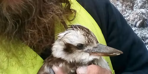 Jason\u2019s Last Ride