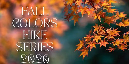 Fall Color - Boardwalk Hike