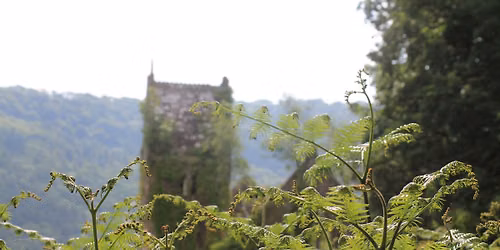 Bracken Bash at St Mary's, Chapel Hill 