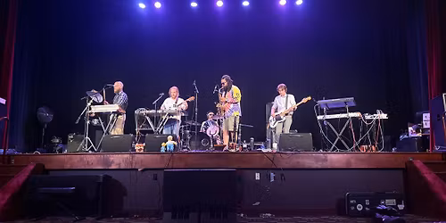 Beautiful Red Panda At The Nest 